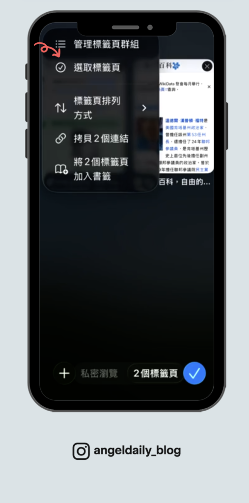 Safari 選取標籤頁的選項