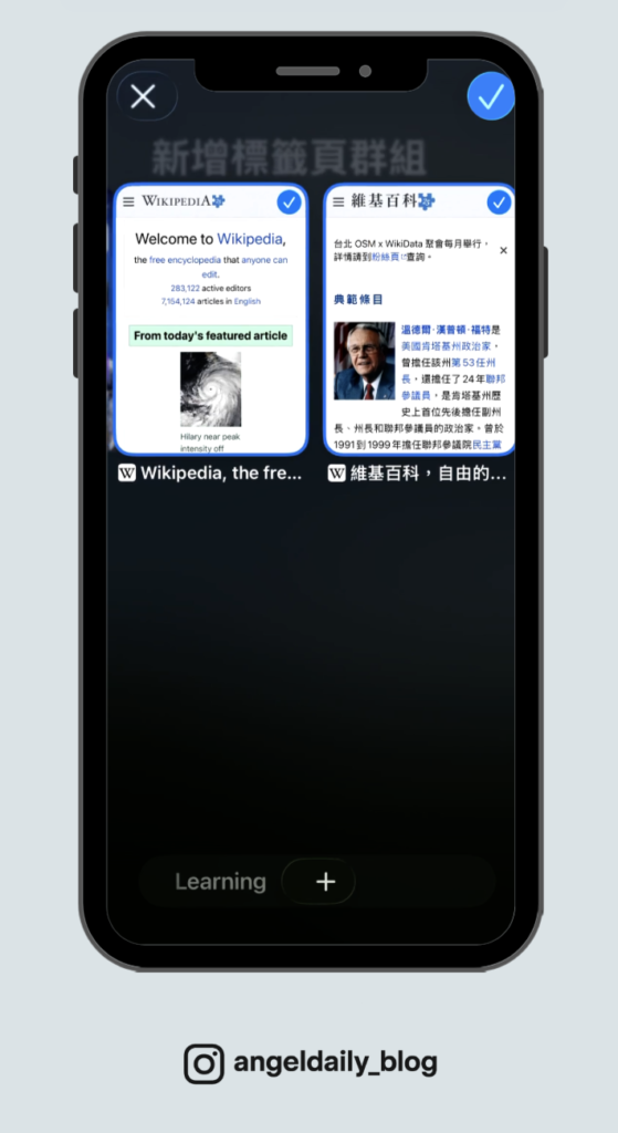 Safari 選擇多個標籤頁的畫面